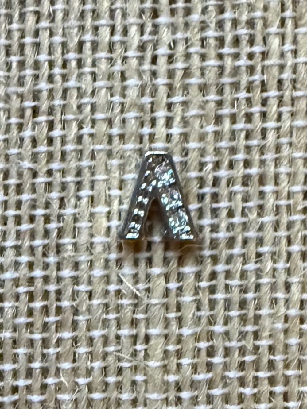 Lambda Greek Letter Charm Origami Owl